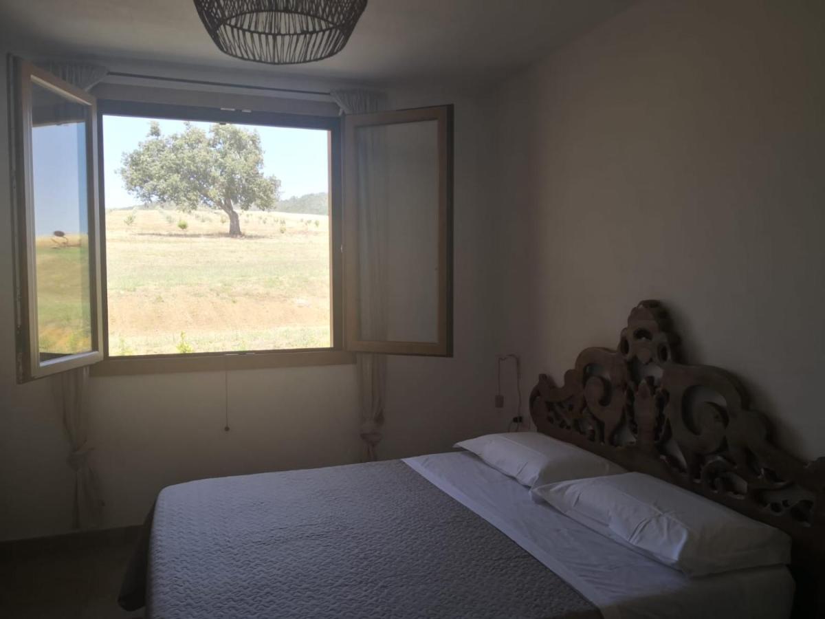 Agriturismo Casa Ricci ماليانو إن توسكانا المظهر الخارجي الصورة